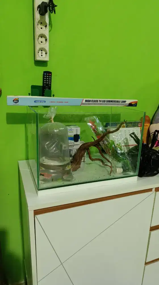 Aquarium aquascape baru siap pakai