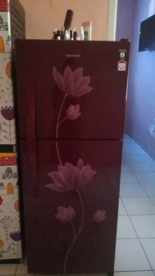 Kulkas 2 pintu Polytron maknyus no minus