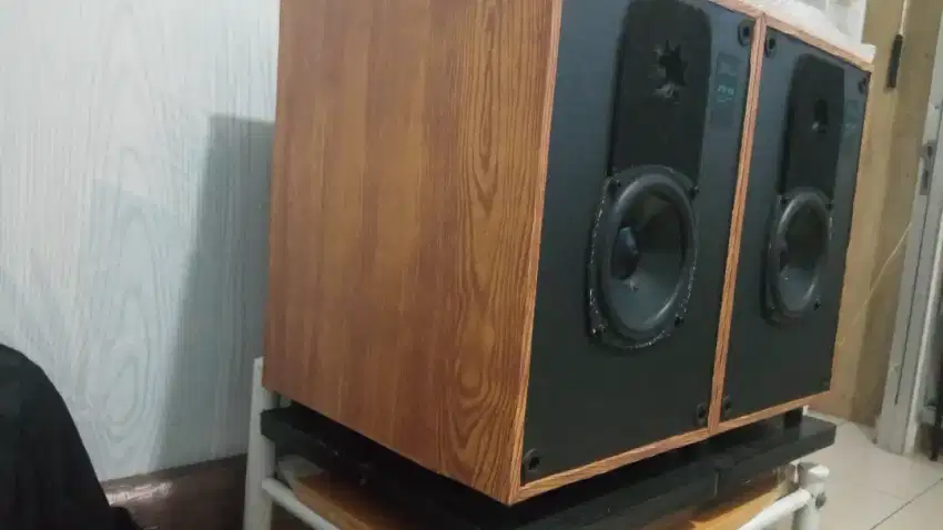 Speaker vintage original USA  Design Acoustic PS -99
