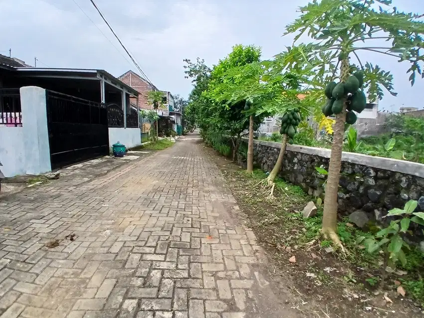 Kavling Murah Pakisjajar Malang Dekat Pasar Pakis dan Exit Tol Pakis