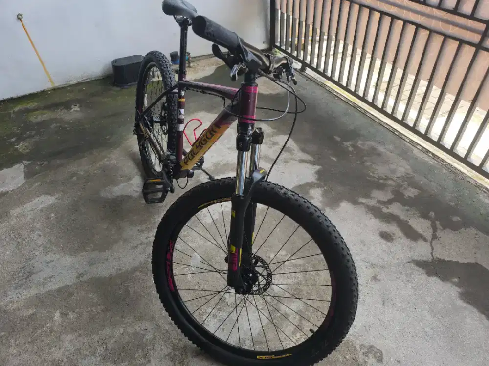 POLYGON SUN TOUR PREMIER 4 SEPEDA GUNUNG