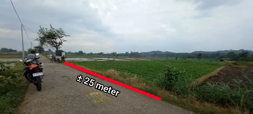 JUAL TANAH SAWAH TEPI ASPAL KARANGSONO KANIGORO BLITAR