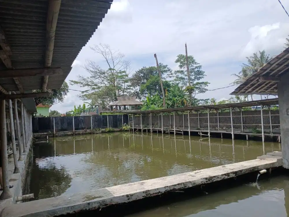 Jual kolam ikan/bekas pemancingan galatama di Kuningan