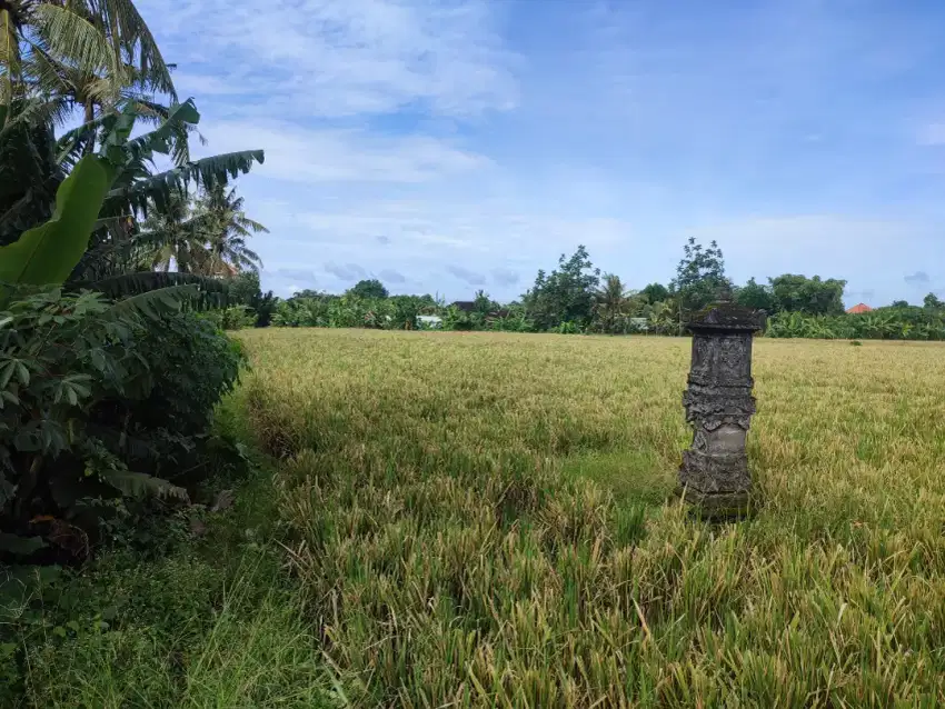 Dijual Tanah persawahan green view for investing luas 80 are