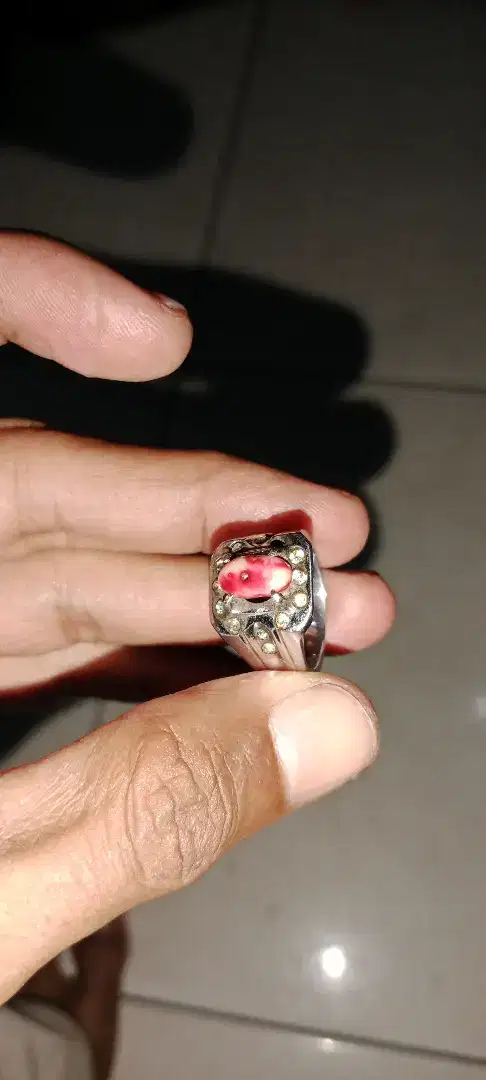 Origin marjan laut merah