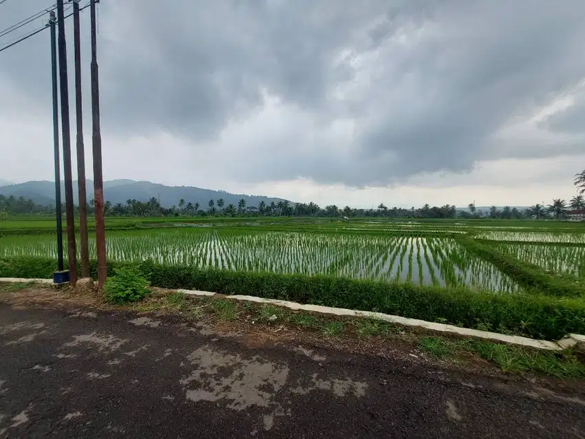 Outright Sale of 21,000 m² Prime Development Land at Jl. Aria Wiratanu