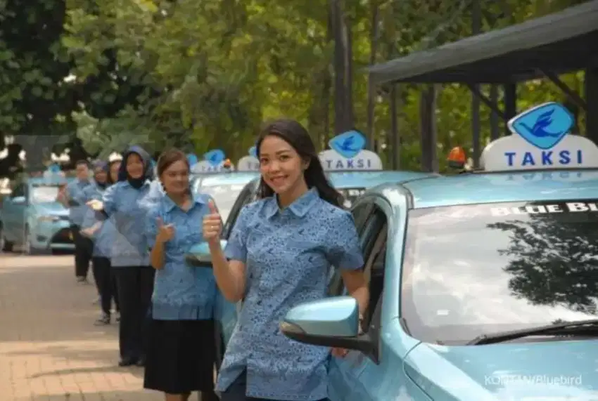 Driver supir sopir taxi bluebird