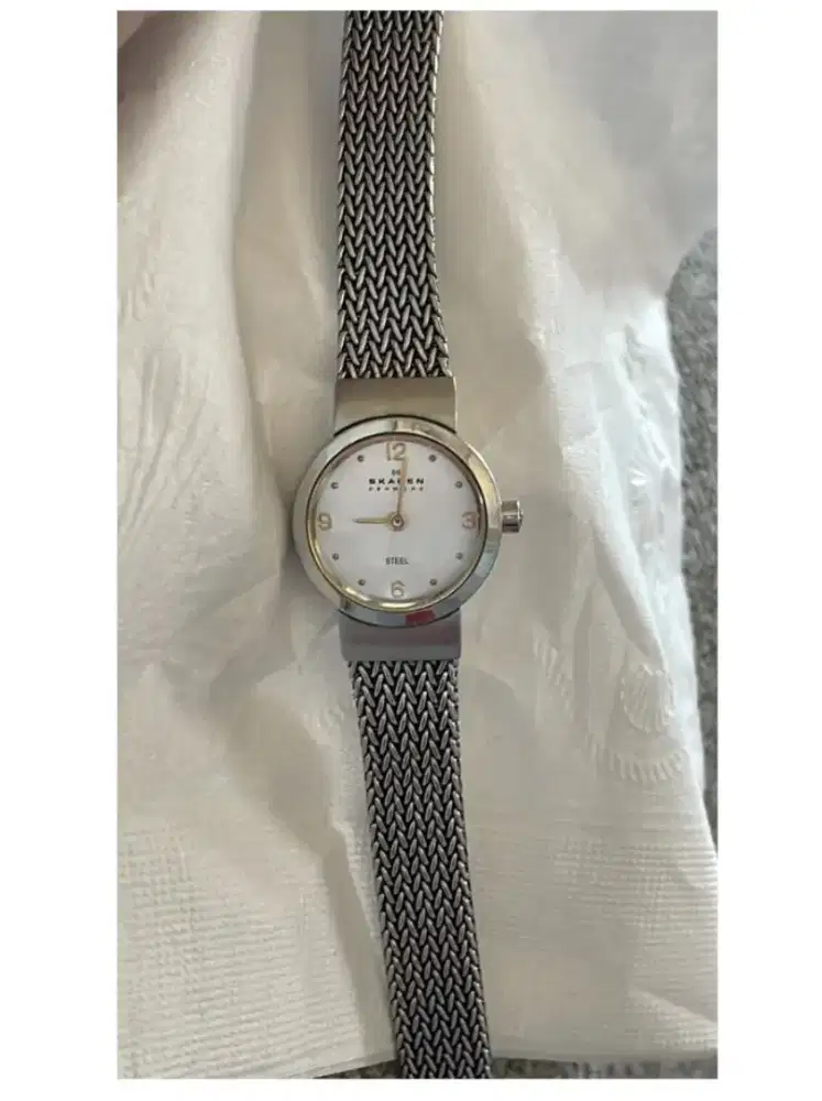 Jam skagen ori bekass