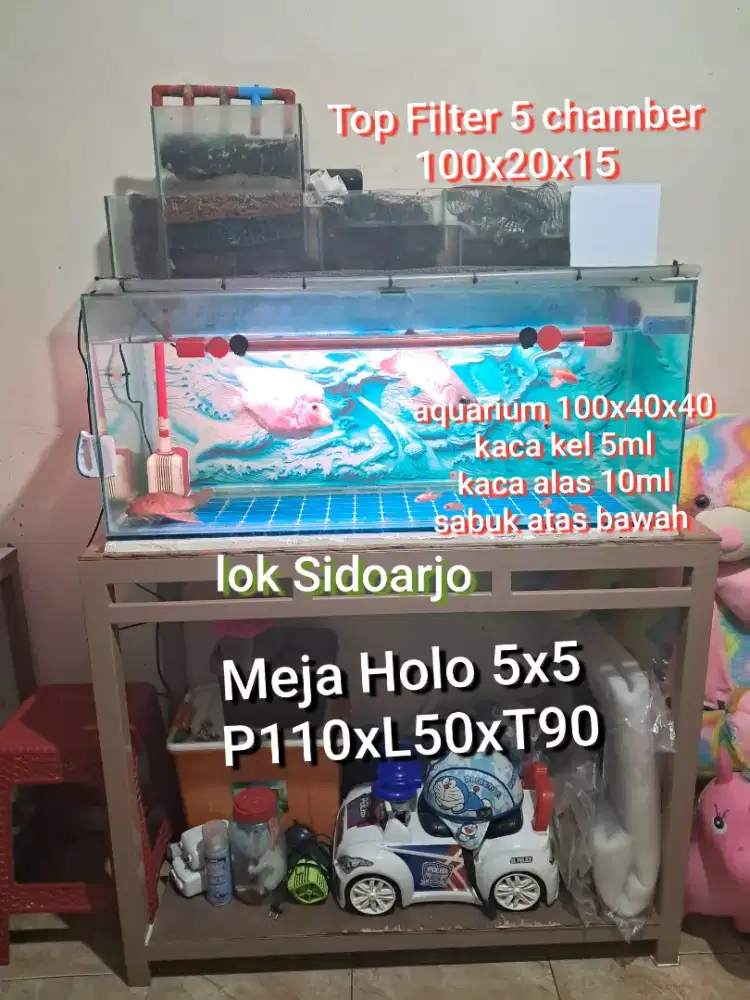 Aquarium & Meja & Top filter NEGO