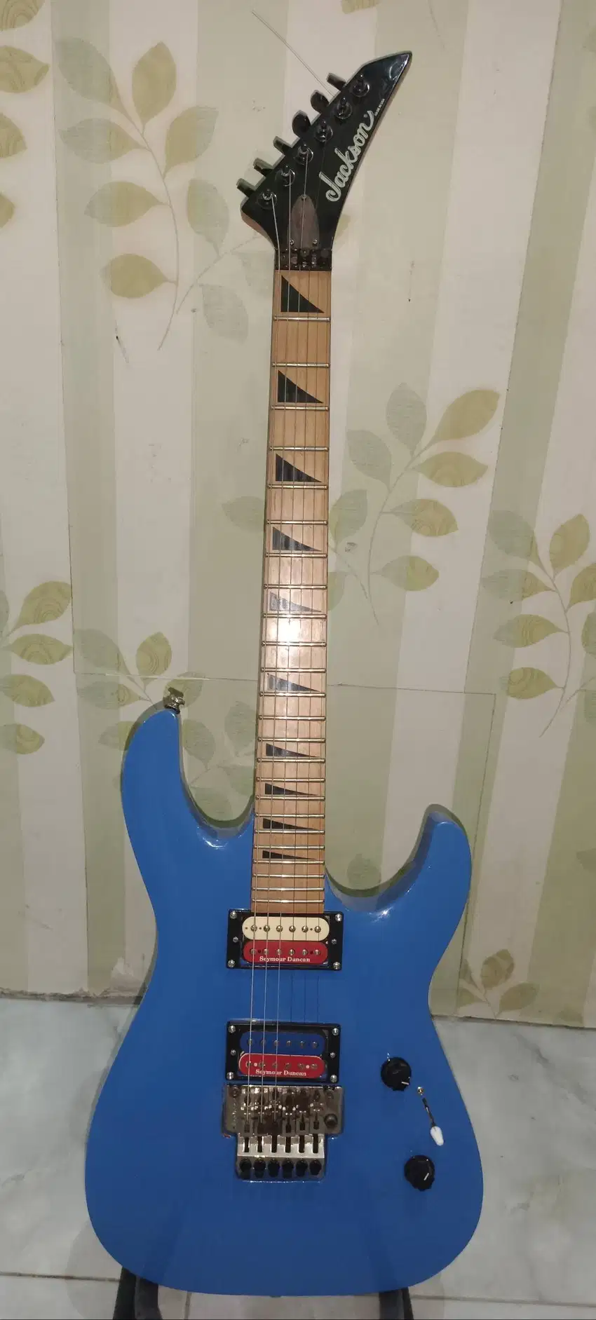 Gitar jackson custom