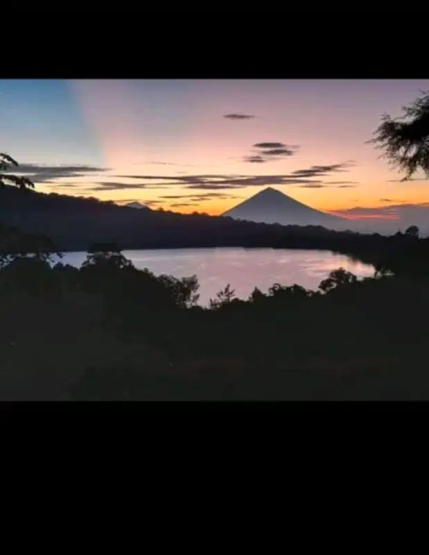 JUAL TANAH BEDUGUL VIEW DANAU Luas 51,30are Rp 250jt/are nego