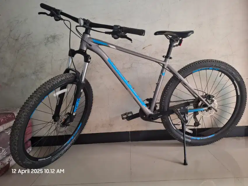 Polygon Xtrada 5 2019