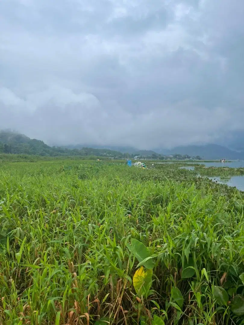Tanah pinggir Danau aliran air Gereja GMIM lembah pinus