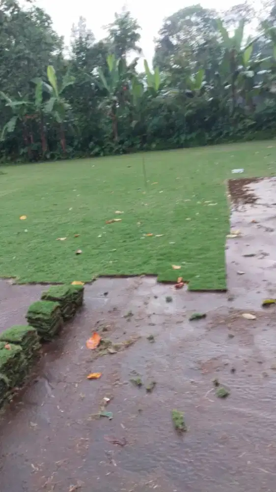 Jual rumput lapangan sepak bola pekalongan terdekat