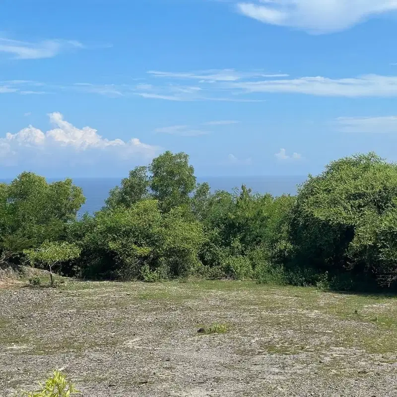 LAHAN SUPER UNBLOCK OCEAN VIEW DI KAWASAN BALI CLIFF - PANDAWA, BALI