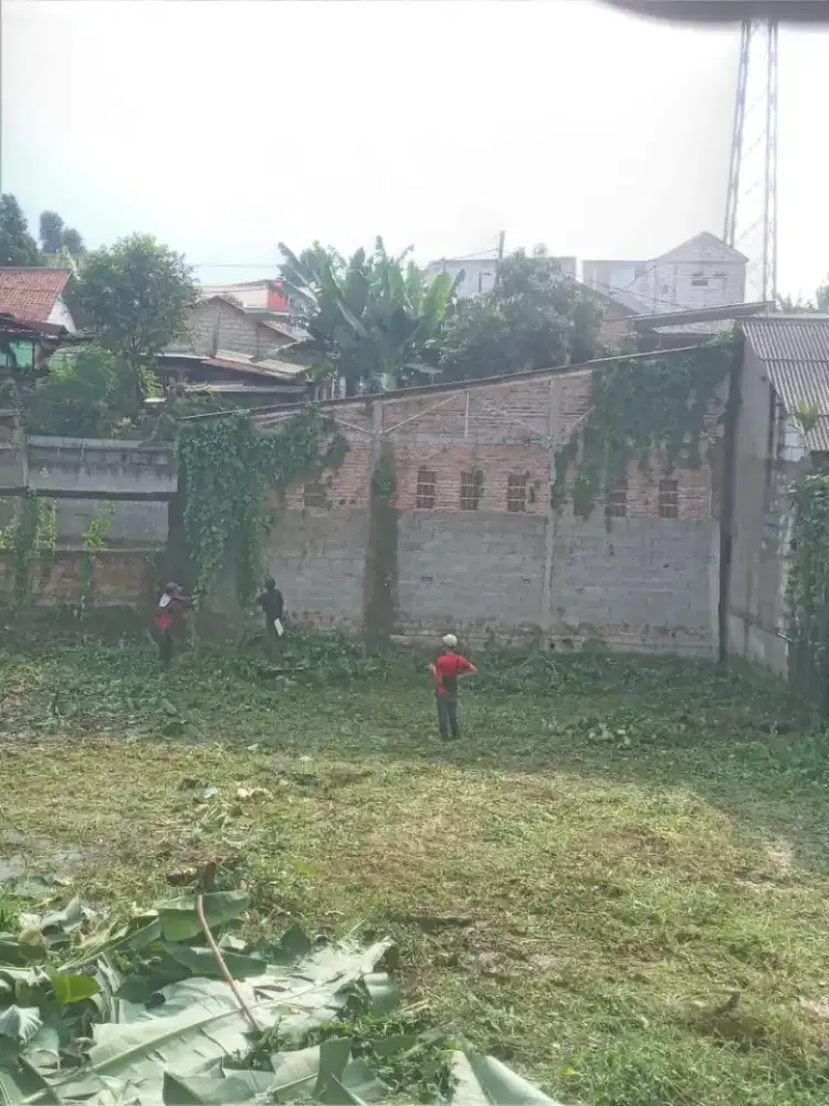 Babat rumput dan pembersihan lahan