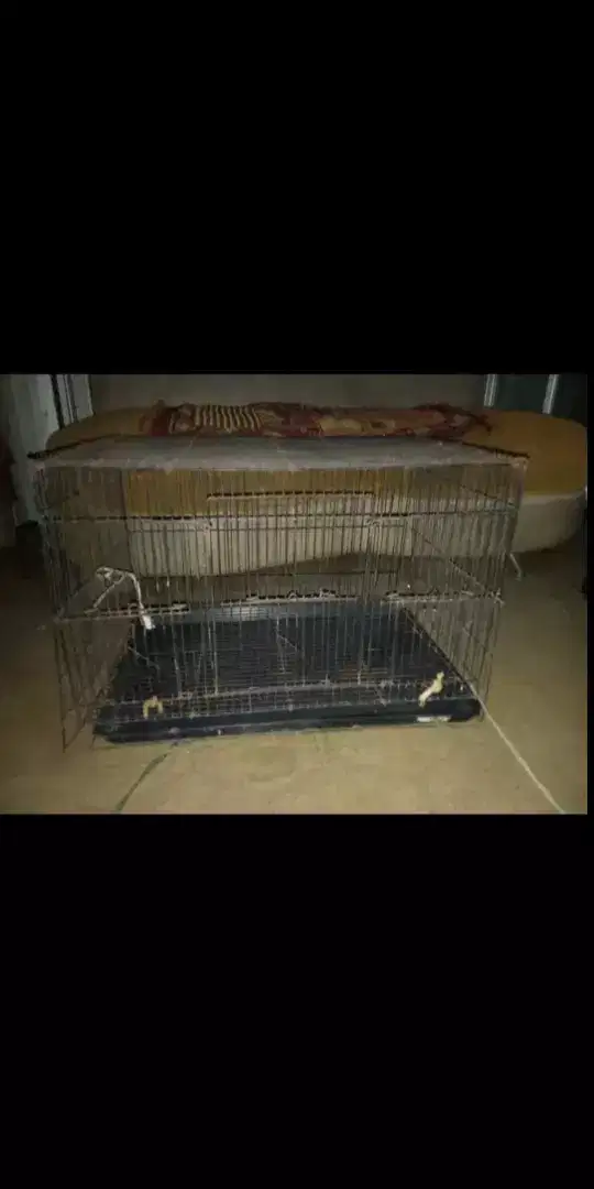 Kandang + Hammock
