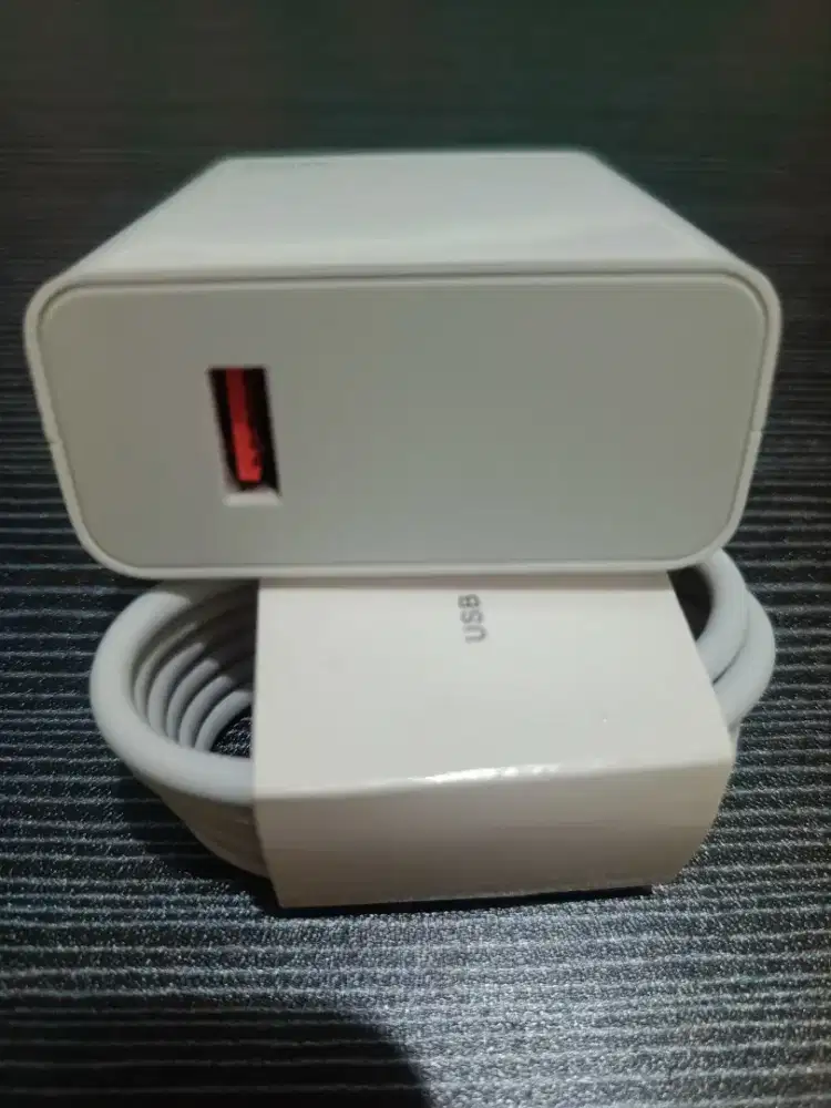 Casan Xiaomi 120 Watt Mi Turbo Original New