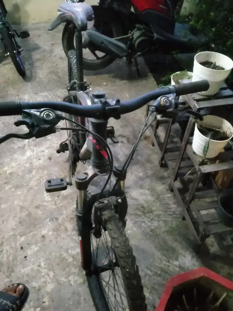 Wim cycle second