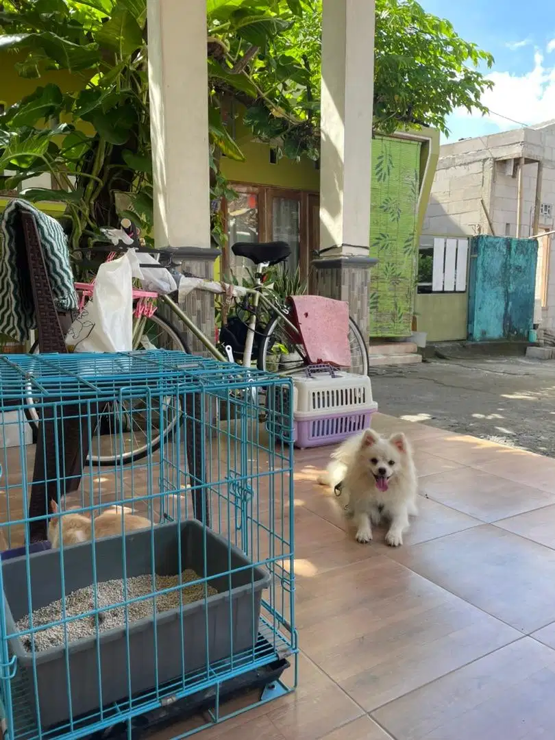 Mini pom Vaksin lengkap
