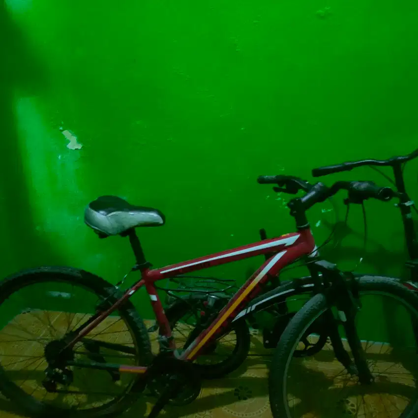 Sepeda lipat dan sepeda biasa ada 2 unit