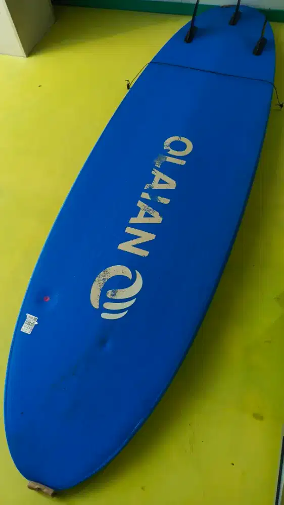 papan selancar pemula