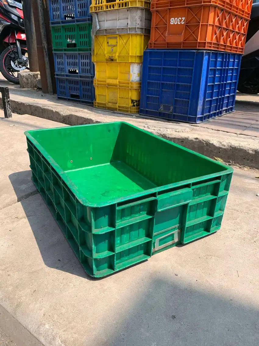 bak magot budidaya merk rabbit 5088 cb