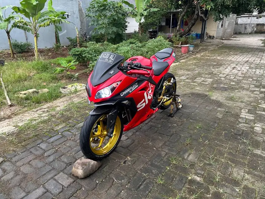 Kawasaki ninja 250cc 2015