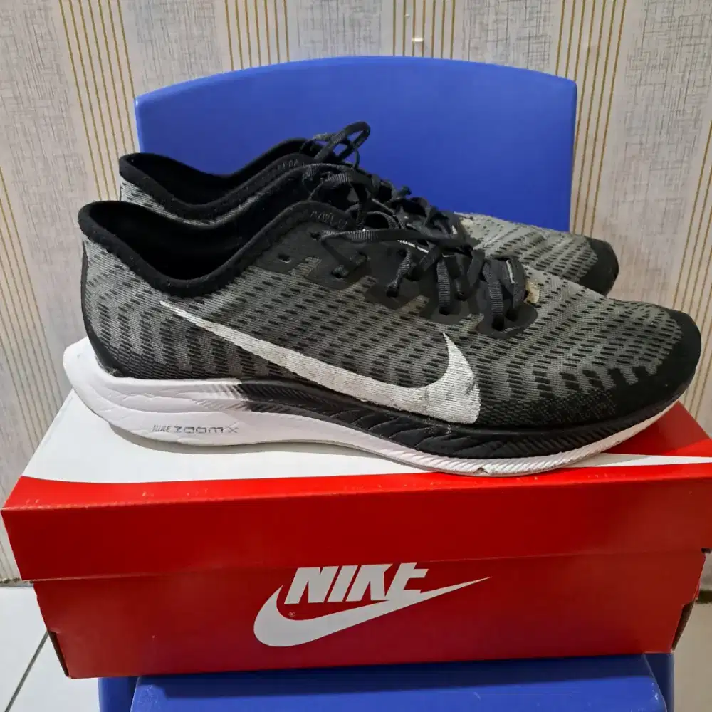 Nike Zoom Pegasus Turbo.2
