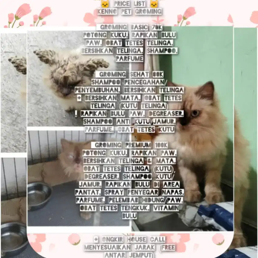 Grooming kucing dan anjing
