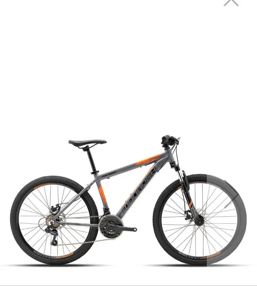 Polygon MTB Monarch M3