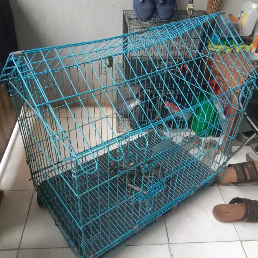 Kandang kucing anjing merk octagon