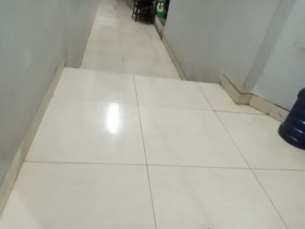 Terima jasa pembersihan peliharaan burung, aquarium, kolam, rumah