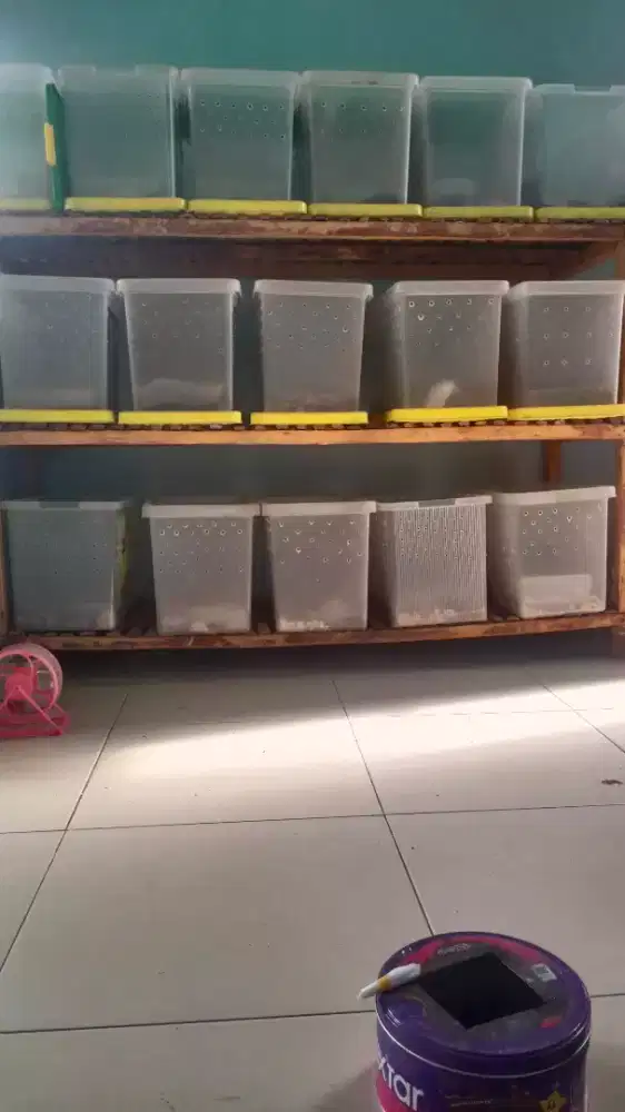 BORONGAN KANDANG LENGKAP SEISINYA