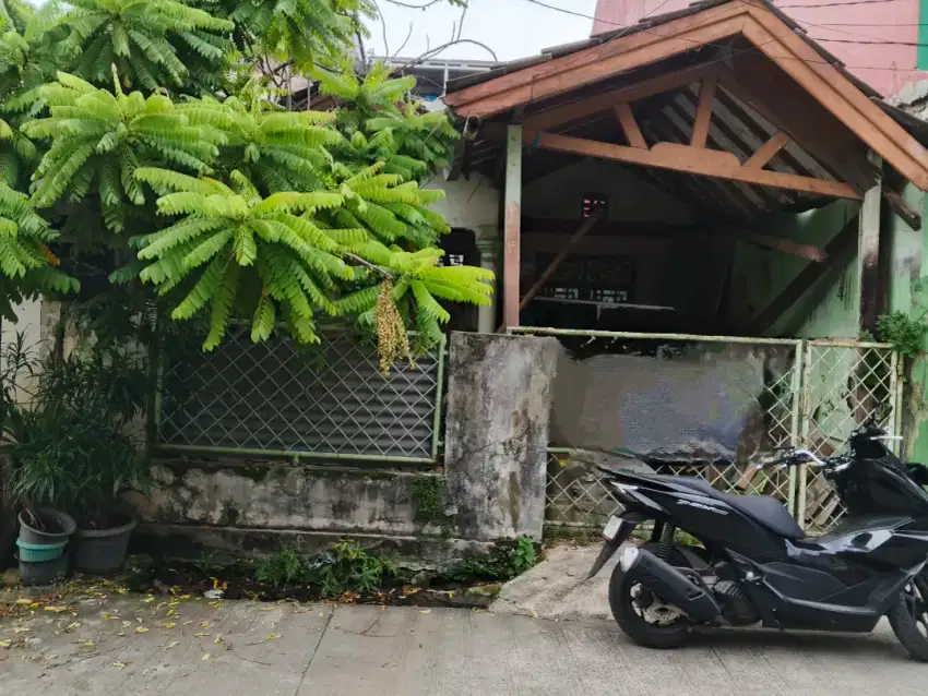BISA NEGO SAMPE JADI ‼️ RUMAH LAMA DI BINTARA