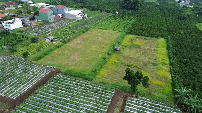 Tanah View Gunung; mepet Kota Malang harga 2 jutaan luas 99 m2