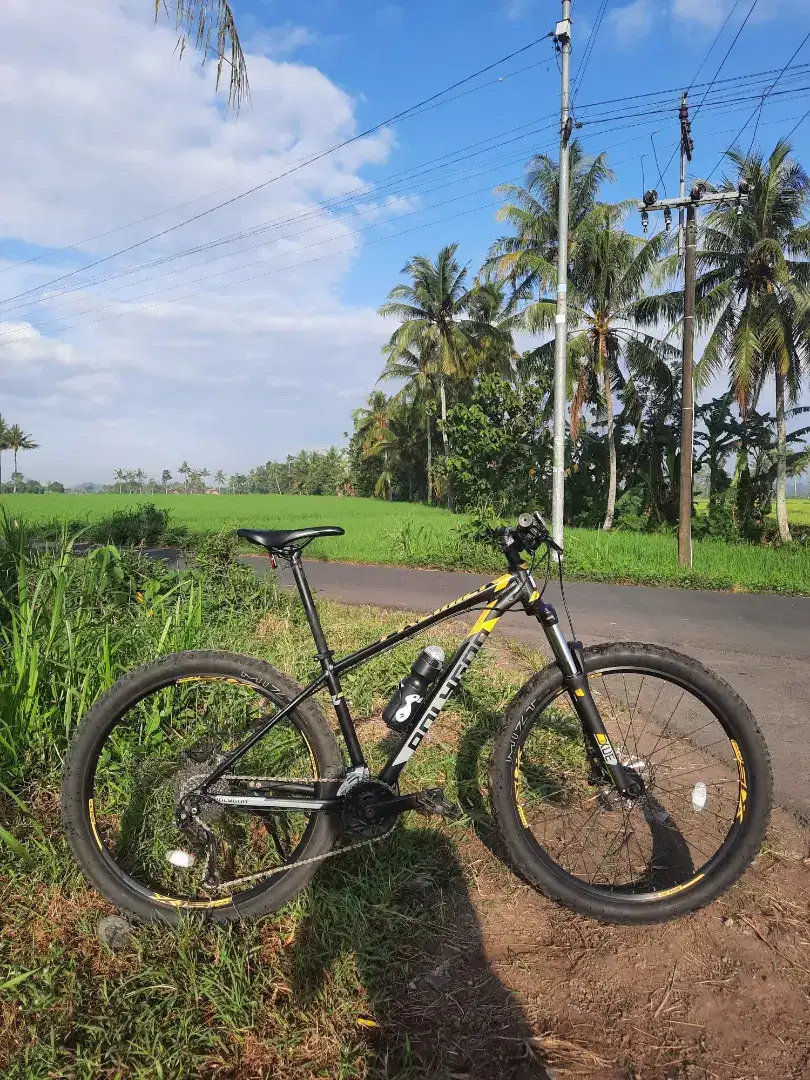 Polygon PREMIER 5 TAHUN 2024