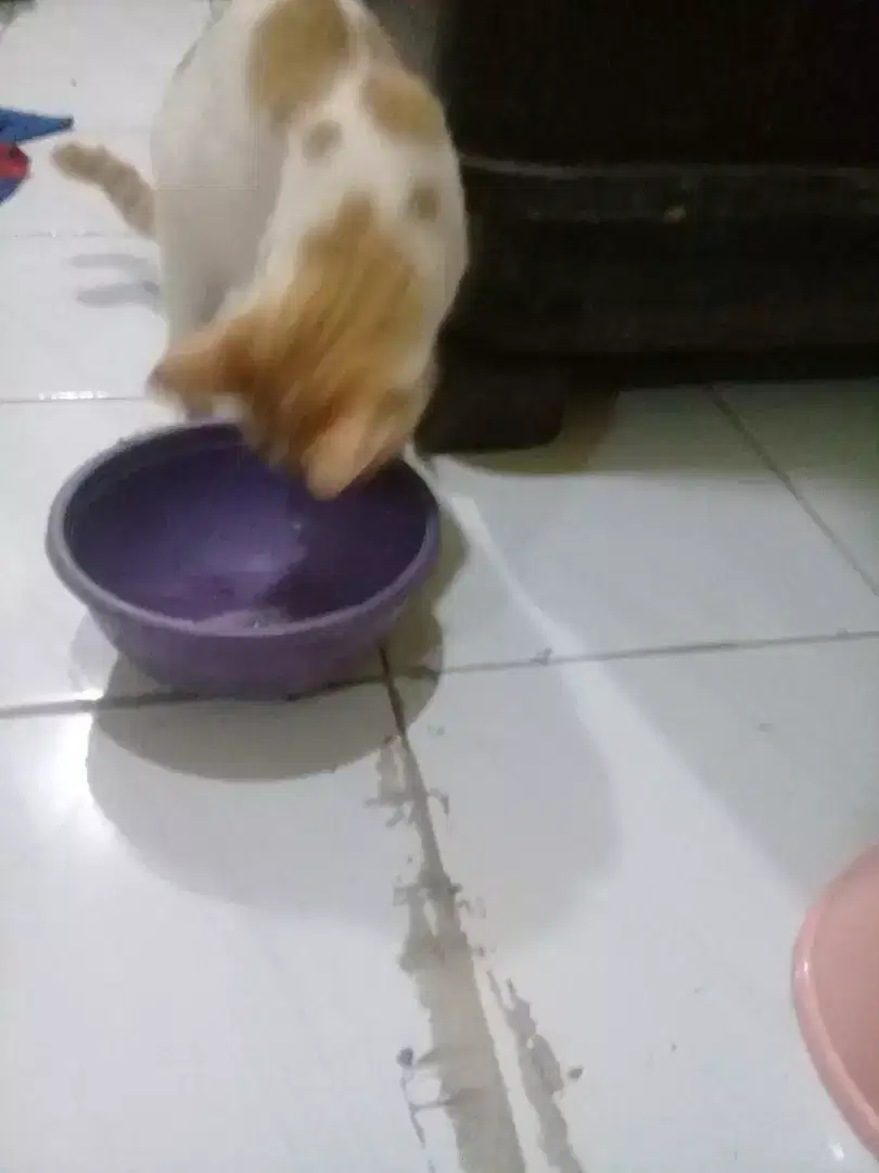 Mencari pekerjaan