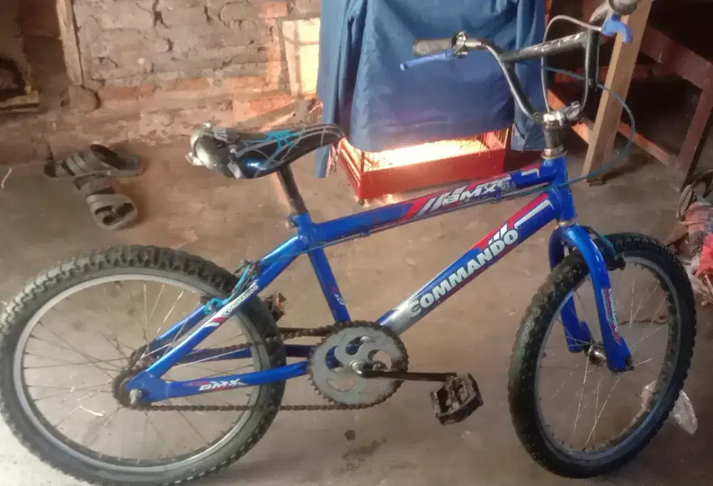 Sepeda anak anak