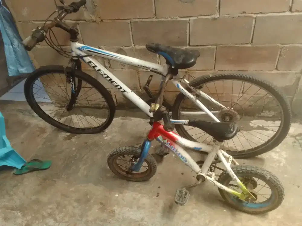 Sepeda Gunung dan sepeda anak