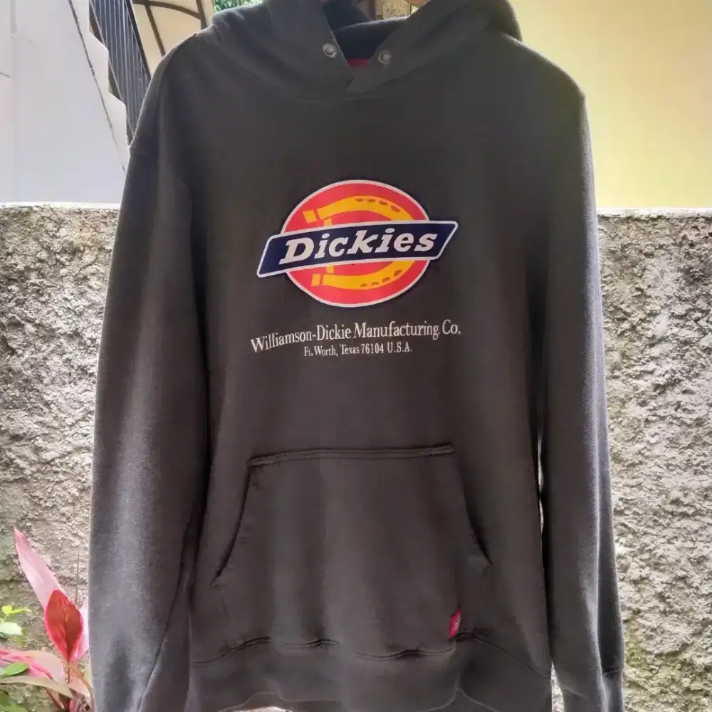 DICKIES TAPAL KUDA