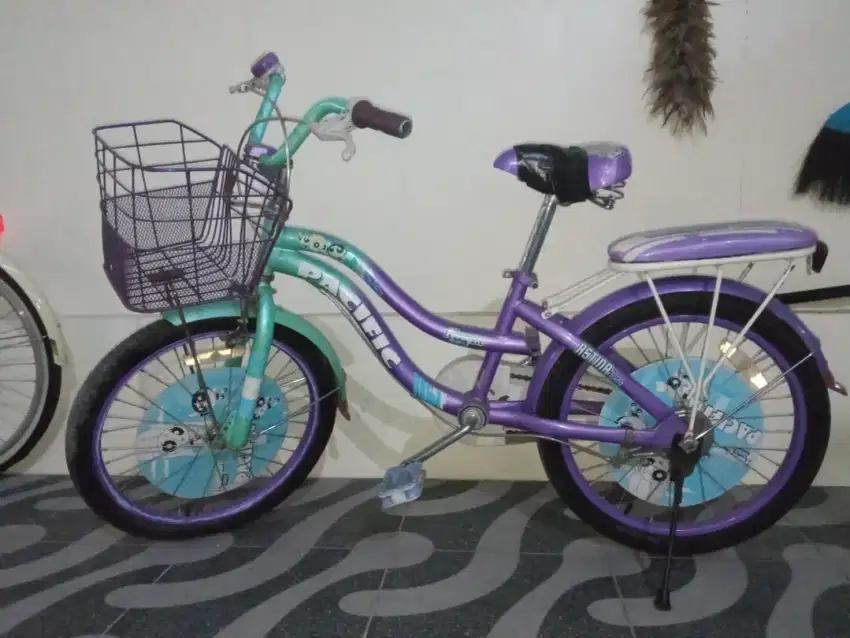 Sepeda anak pasific astina