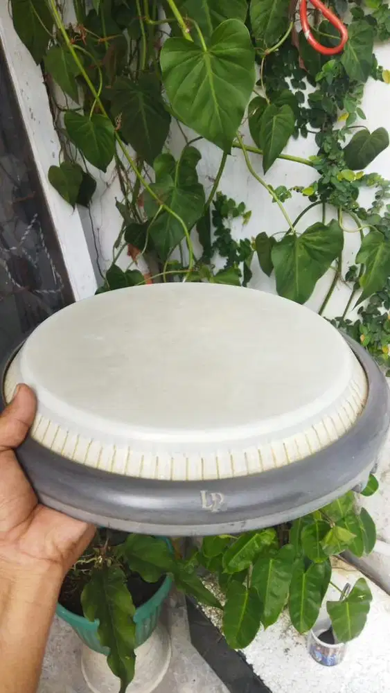 Conga compact LP Giovanni Hidalgo