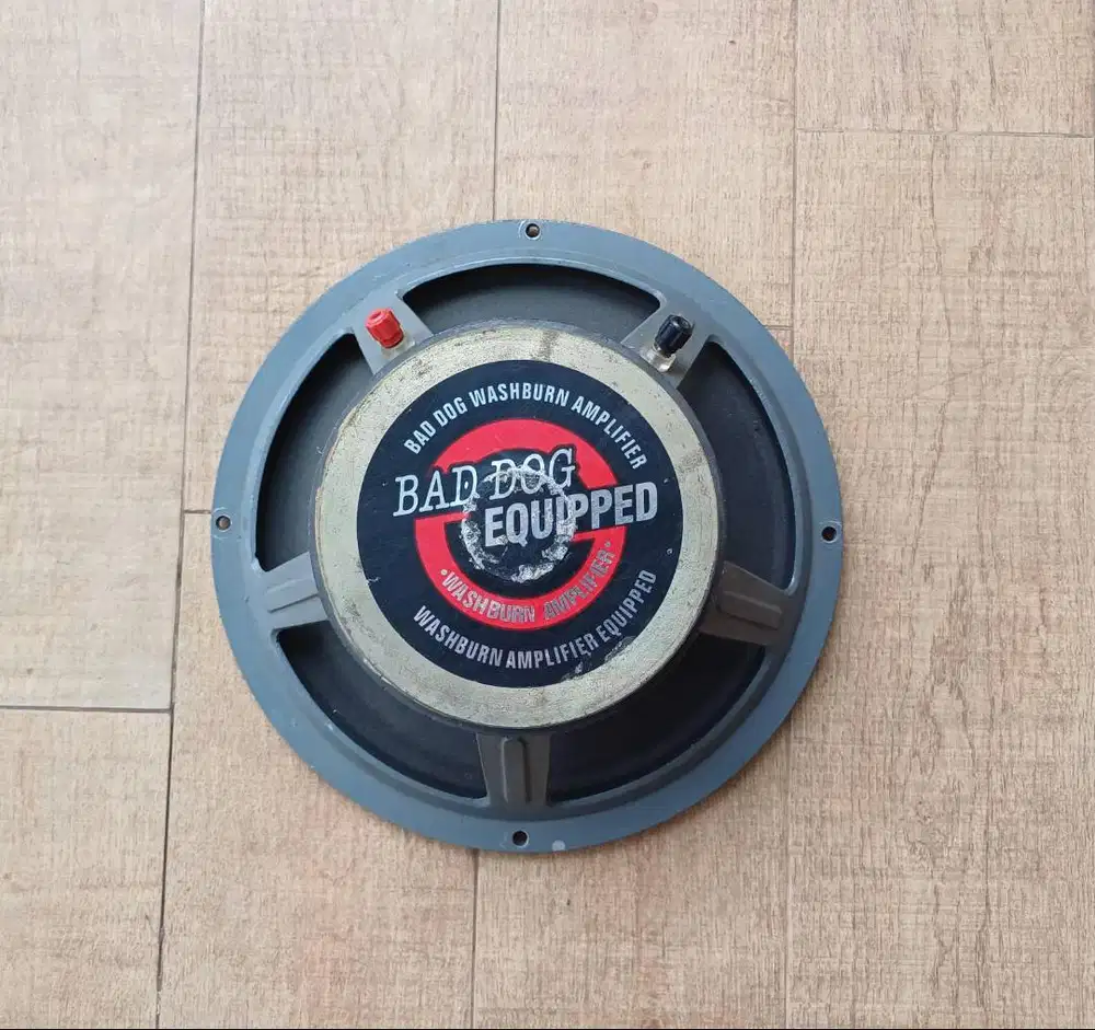 speker washburn bad dog 12 inch