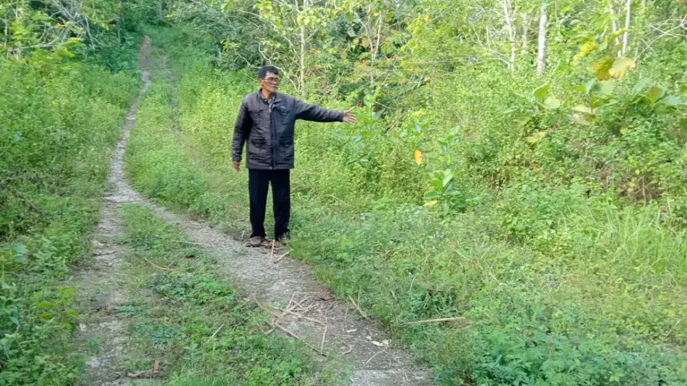 Jual tanah potensi untuk wisata kuliner,pondok