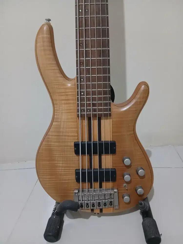 Bass Cort 6 senar