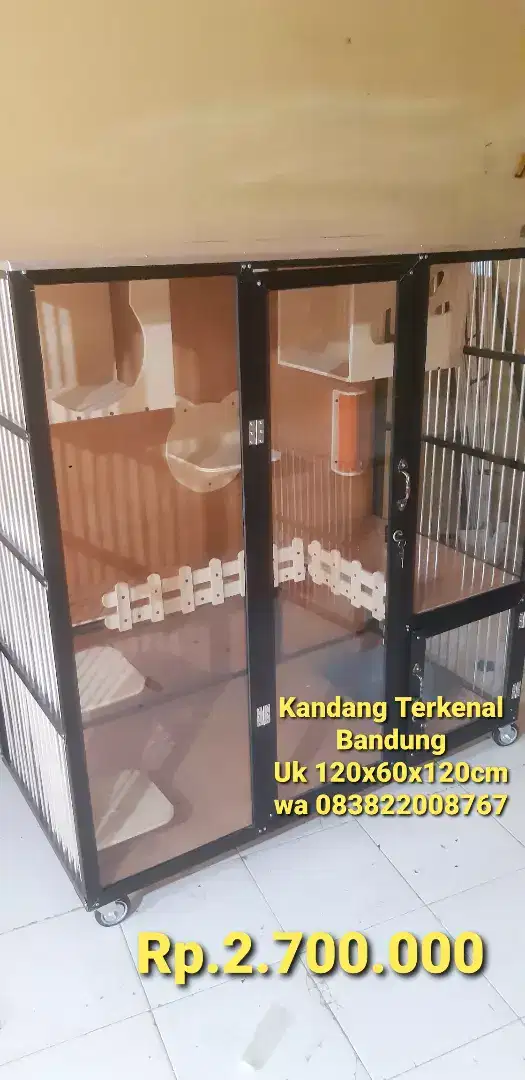 Kandang kucing bandung 1b