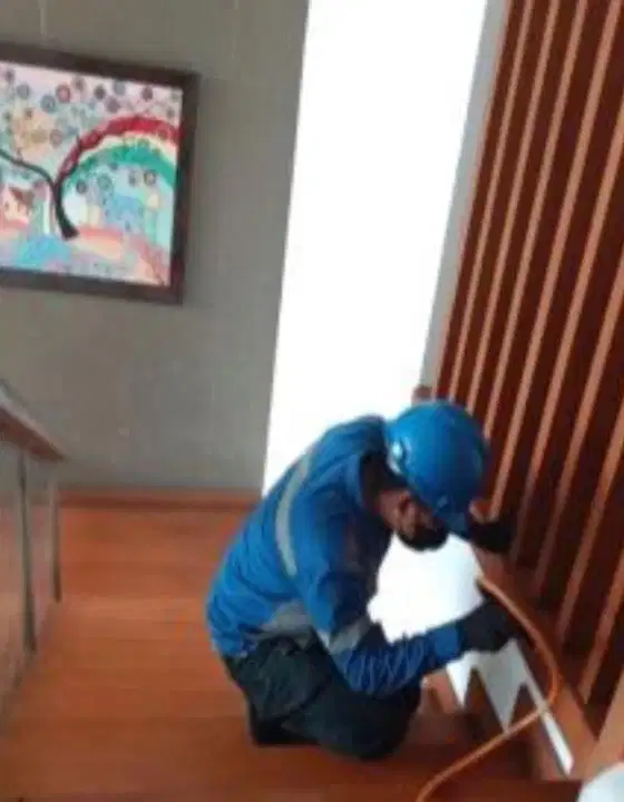 JASA PENGENDALI HAMA ANTI RAYAP BANDUNG