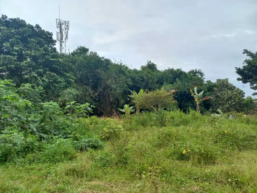 Kavling area Cileungsi, Include fasum Jalan 5 Meter. Bisa Angsur 12X