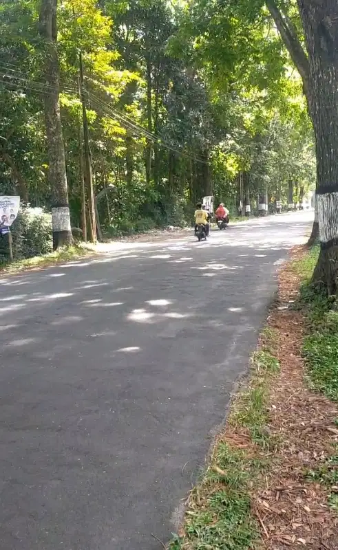 TANAH STRATEGIS 890M JL MAGELANG KOPENG SEBELAH SMP TEGALREJO